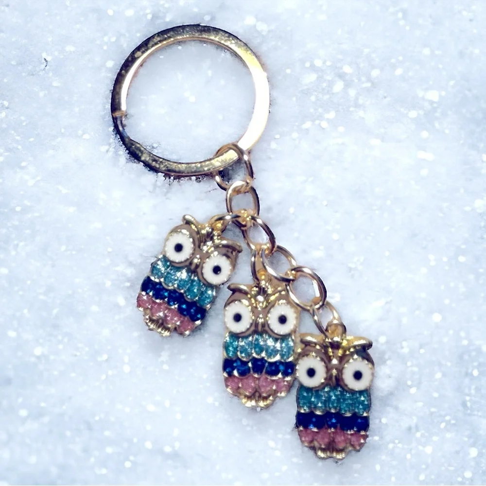 🦉❤️Owl Keychain/Bag Charm NWT❤️🦉